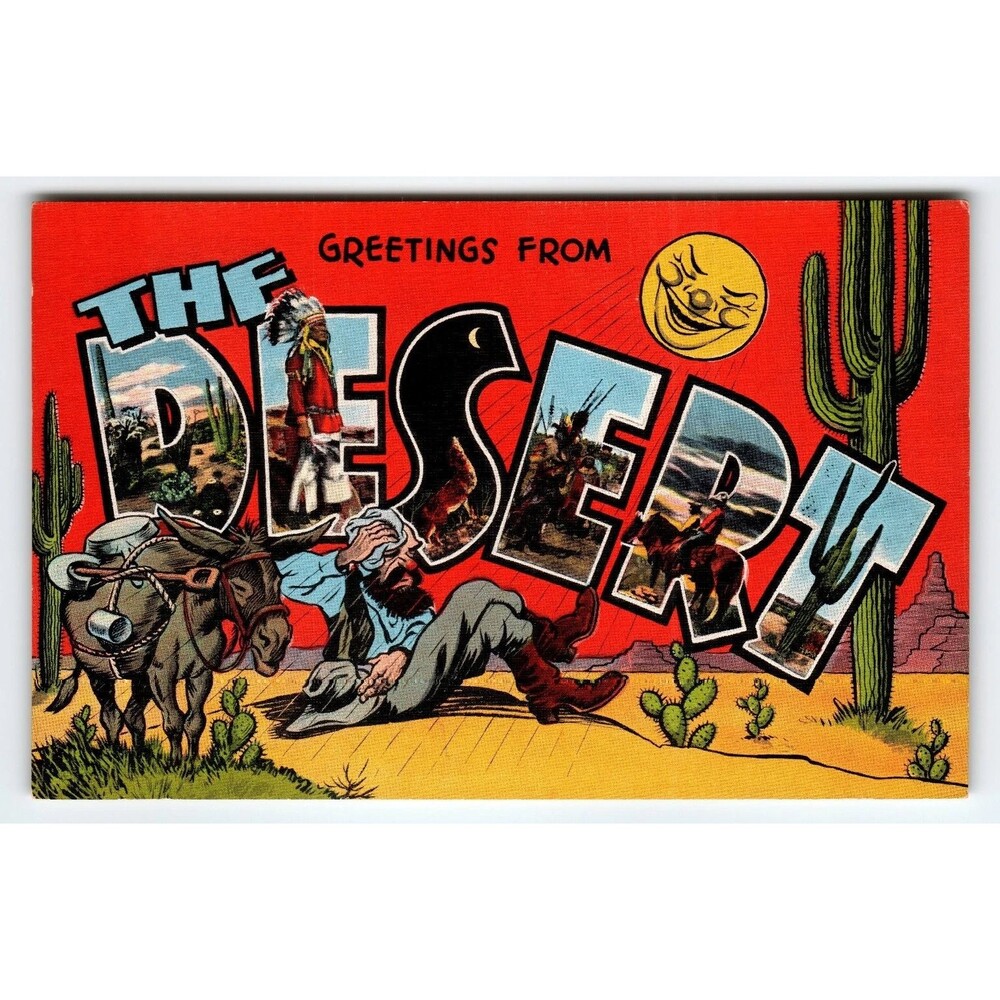 Vintage Linen Greetings From The Desert Large Letter Postcard Scenes 1940's